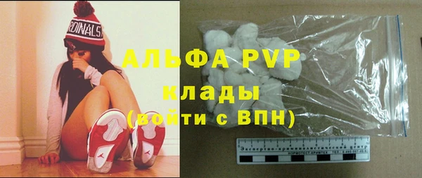 стаф Алзамай