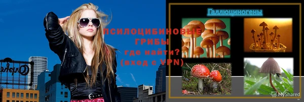 индика Абдулино