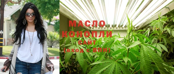 индика Абдулино