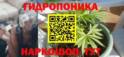 PSILOCYBIN Краснодар