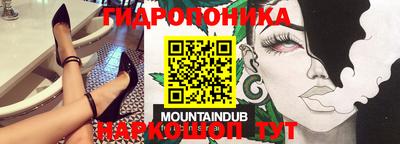 PSILOCYBIN Краснодар