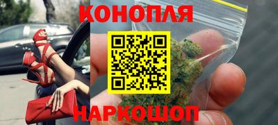 прущие грибы Комсомольск-на-Амуре