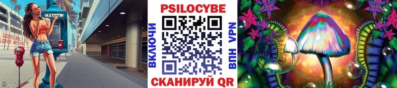 закладки  Заволжье  Псилоцибиновые грибы мицелий 