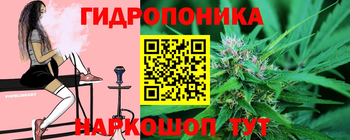 Каннабис планчик  Канабис планчик  Вход с VPN  Заволжье 